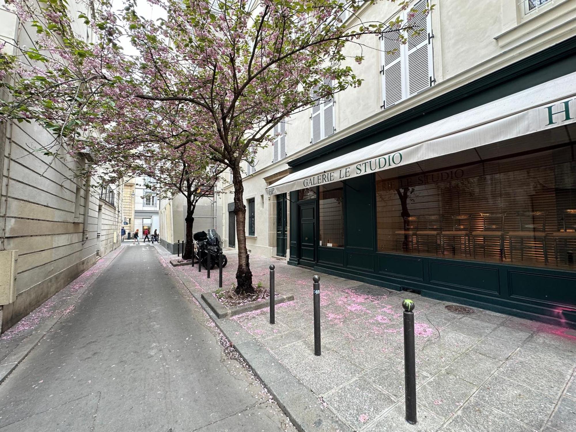 Apartamento Spacious Studio In Saint-Germain-Des-Pres París Exterior foto